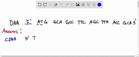complete-the-flowchart-below-for-replication-transcription-and-translation_-first-complete-the-complementary-strand-for-dna-then-make-rna-transcript-finish-by-completing-the-amino-acid-seque-82968
