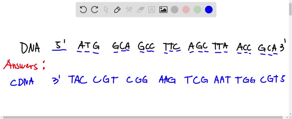 SOLVED: Transcription Label the following: RNA polymerase (b) DNA ...