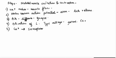 below-are-steps-of-skeletal-muscle-excitation-and-contraction-ie-excitation-contraction-coupling-arrange-the-statements-in-the-correct-order-in-which-they-occur-please-answer-if-you-know-the-30871