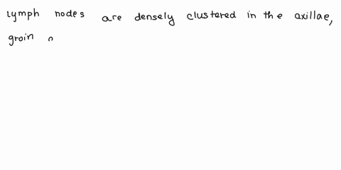 select-the-best-answer-or-answers-from-the-choices-given-lymph-nodes-are-densely-clustered-in-all-of-the-following-body-areas-except-a-the-brain-b-the-axillae-c-the-groin-d-the-cervical-regi-38338