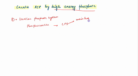 there-are-3-sources-of-atp-for-use-by-actively-contracting-muscles-which-of-these-creates-atp-by-donating-a-high-energy-phosphate-a-creatine-phosphate-system-b-glycolysis-electron-transport-54659