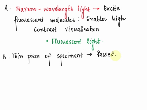 match-the-form-of-microscopy-to-its-description-narrow-wavelength-light-shines-cown-on-specimen-and-labeled-antibodies-dyes-or-fluorescent-proteins-glow-transmission-electron-electrons-pass-26074