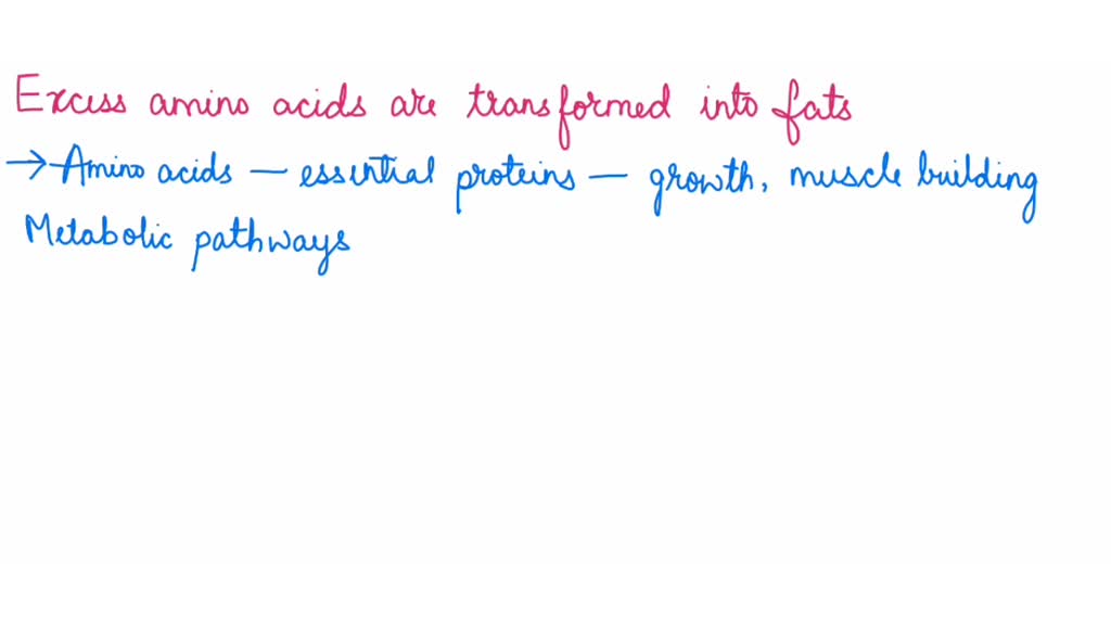 SOLVED Proteins in food provide amino acids. Amino acids will be used