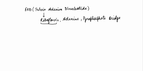 structure-of-fad-and-its-oxidation-and-reduction-the-portion-of-the-coenzyme-enclosed-in-the-red-box-is-riboflavin-a-abij-1-hc_-hc-reduction-2m-ac-oxldation-hjc-c-chz-aibalvin-rcduced-crm-ri-84948