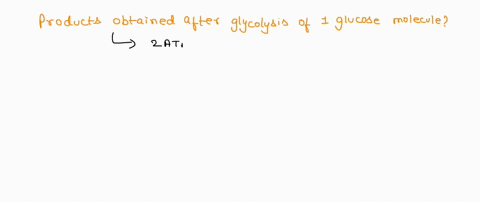 taking-one-mole-of-glucose-through-glycolysis-generates-a-net-3-c02-2-nadhh-0-fadh2-and-2-atp-3-c02-15-nadhh-0-fadh2-and-2-atp-0-c02-2-nadhh-2-fadh2-and-4-atp-3-c02-2-nadhh-2-fadh2-and-2-atp-89854