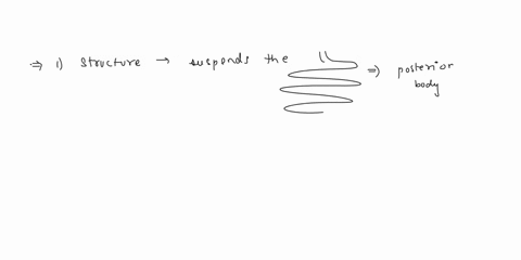 please-include-the-name-with-the-letter-thanks-6-match-the-items-in-column-b-with-the-descriptive-statements-in-column-a-column-a-column-b-1-structure-that-suspends-the-small-intestine-from-35514