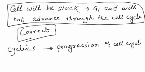 a-mutation-occurs-in-a-gene-that-encodes-a-g1-cyclin-such-that-the-protein-is-unable-to-bind-to-its-cdk-how-will-this-affect-the-cell-cycle-the-cell-will-rapidly-replicate-its-dna-and-progre-09304