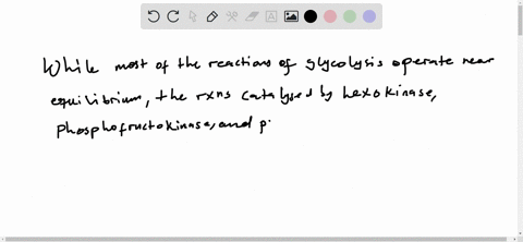 why-is-it-important-that-gluconeogenesis-is-not-the-exact-reversal-of-glycolysis-17552