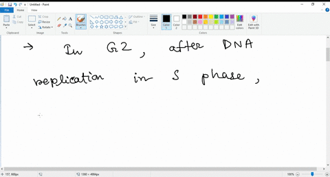 a-somatic-cell-from-a-garden-pea-normally-contains-14-chromosomes-how-many-sister-chromatids-would-that-cell-contain-during-g1-of-the-cell-cycle-_____-74848