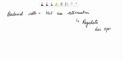explain-why-the-bacterial-cell-does-not-need-to-use-attenuation-to-regulate-the-lac-operon-23847