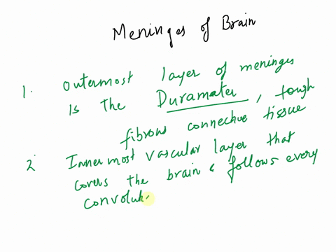 meninges-of-the-brain-8identify-the-meningeal-or-associatedstructures-described-below-biodlnae6iovm-1outermost-layer-tough-fibrous-connective-tissue-2innermost-vascular-layer-covering-the-br-99929