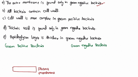 which-of-the-following-statements-about-the-bacterial-cell-wall-is-correct-a-the-outer-membrane-is-found-only-in-gram-negative-bacteria-b-all-bacteria-contain-a-cell-wall-c-cell-wall-is-more-82748