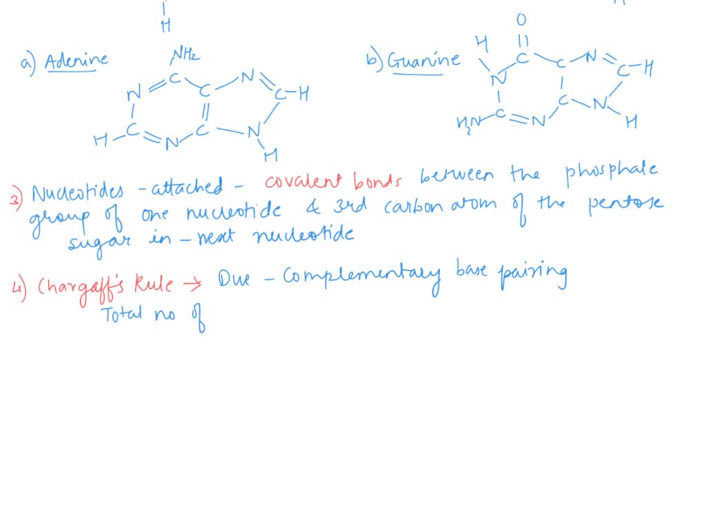 SOLVED Topic Nucleic Acid Quantification (Spectrophotometric DNA