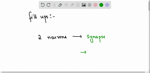 the-junction-between-two-communicating-neurons-is-called-a-_____________-there-is-a-_________-_________-between-them-across-which-the-impulse-must-be-conveyed-synaptic-transmission-it-the-pr-34828