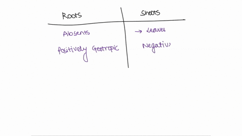 list-three-structural-differences-between-roots-and-shoots-that-allow-roots-to-grow-through-the-soil-95254