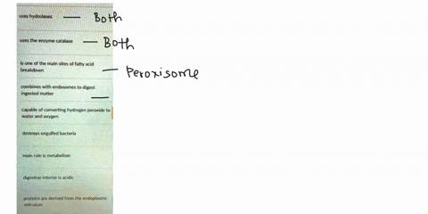 for-each-choose-either-peroxisome-or-lysosome-both-or-neither-uses-hydrolases-uses-the-enzyme-catalase-choose-is-one-of-the-main-sites-of-fatty-acid-breakdown-choose-combines-with-endosomes-69433