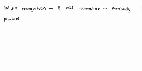 explain-how-your-body-develops-antibodies-86986