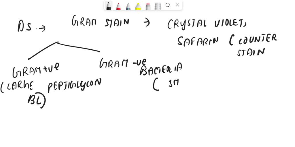 solved-list-each-of-the-reagents-used-in-an-acid-fast-stain-along-with