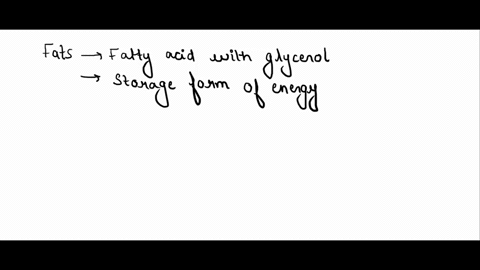 distinguish-among-fats-phospholipidsand-steroids-and-describe-the-composition-characteristics-and-biological-functions-of-each-24553