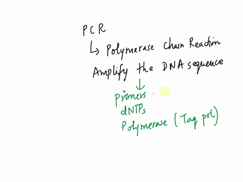 the-goal-of-a-pcr-polymerase-chain-reaction-is-to-create-new-mutant-dna-amplify-a-section-of-dna-make-new-copies-sequence-a-persons-genome-break-apart-dna-molecules-question-4-1-pts-forward-01461