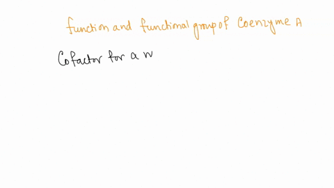 what-is-the-main-function-of-coenzyme-a-what-is-its-functional-group-73335