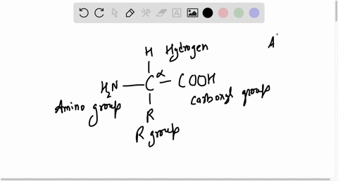amino-acids-are-04-dipolar-molecules-which-may-exist-as-zwitterions-at-a-specific-ph-ob-organic-compounds-with-at-least-one-carboxyl-and-one-amiro-group-in-their-structures-0-c-rganic-compou-77298