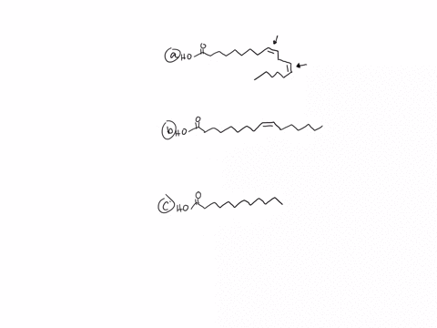 classify-each-of-the-following-fatty-acids-as-saturated-monounsaturated-or-polyunsaturated-see-tab-4-48894