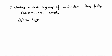 questions-51-53-a-cnidarians-b-chordates-c-annelids-d-roundworms-e-flatworms-three-cell-layers-thick-52206