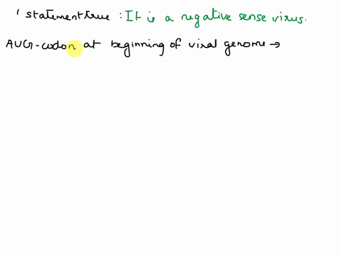 the-sequence-of-this-virus-genome-begins-with-the-nucleotides-aug-this-means-that-it-is-a-negative-sense-virus-its-genome-can-be-translated-without-intermediary-molecules-two-molecules-can-b-61453