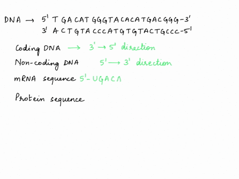 1-below-is-a-dna-molecule-transcribe-this-molecule-into-rna-and-then-translate-the-rna-into-an-amino-acid-sequence-using-the-genetic-code-written-in-rna-nucleotides-provided-below-hint-make-27997