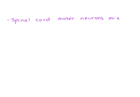spinal-cord-motor-neurons-are-derived-from-the-_______-while-drg-sensory-neurons-are-derived-from-_________-a-neural-crest-mesoderm-b-neural-tube-endoderm-c-neural-tube-neural-crest-d-ventri-06664