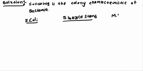 results-techniques-lor-isolatlon-of-pure-cultures-streak-plate-small-yellow-micrococcus-luteus-red-serratia-marcescens-cream-escherichia-coli-aprslani-ar-slant-aparslant-we-moicescens-comi-40606