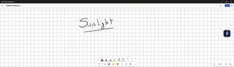 what-energizes-electrons-in-the-light-reactions-of-photosynthesis-sugar-sunlight-atp-nadph-water
