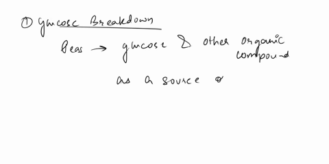 explain-why-some-peas-in-the-experiment-produced-carbon-dioxide-41727