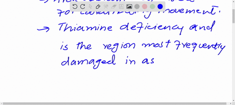 which-part-of-the-brain-gets-affected-in-an-alcoholic-person-why-77092