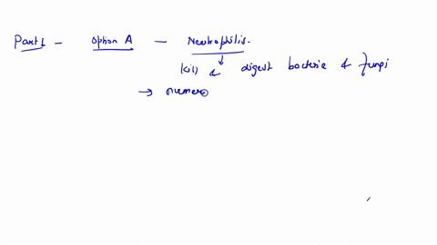 49-the-most-numerous-white-blood-cells-in-peripheral-circulation-are-the-neutrophils-b-eosinophils-c-basophils-d-lymphocytes-e-monocytes-50-the-process-of-fibrinolysis-activates-fibrinogen-d-90796