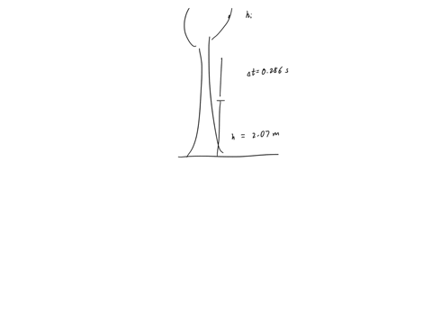you-attach-a-meter-stick-to-an-oak-tree-such-that-the-top-of-the-meter-stick-is-207-meters-above-the-ground-later-an-acorn-falls-from-somewhere-higher-up-in-the-tree-if-the-acorn-takes-0286-08015