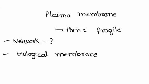 plasma-membranes-are-extremely-thin-and-fragile-requiring-an-extensive-support-network-of-fibrous-proteins-this-network-is-called-the-________-a-spectrin-b-cortex-c-attachment-complex-d-cyto-65743