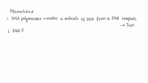 which-of-the-following-pairs-is-mismatched-dna-ligase-joins-segments-of-dna-helicase-unwinds-double-strand-dna-dna-polymerase-makes-a-molecule-of-rna-from-a-dna-template-rna-polymerase-makes-17492
