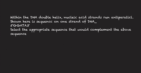 question-within-the-dna-double-helix-nucleic-acid-strands-run-antiparallcl-shown-here-is-sequencc-on-one-strand-of-dna_-5ggata3-select-the-appropriate-sequence-that-would-complement-the-abov-96446