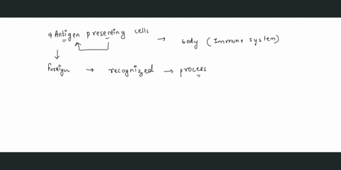 an-antigen-presenting-cell-apc-a-presents-antigens-to-t-cells-b-secretes-antibodies-c-marks-each-hum-87542