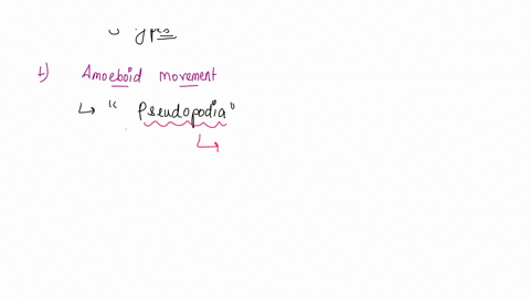 zoology-check-the-statements-that-correctly-describe-a-form-of-nonmuscular-movement-check-all-that-apply-1all-nonmuscular-movement-is-based-on-the-action-of-microfilament-or-microtubule-cyto-03645