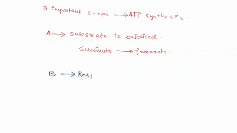 what-happens-with-a-leak-that-is-really-cool-cheryl-blurted-out-and-if-we-think-of-mitochondria-as-just-sort-of-glorified-vesicles-then-dnp-would-make-their-inside-ph-the-same-as-the-outside-97086