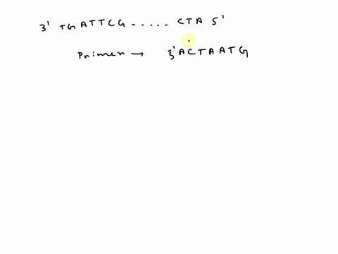 choose-two-primers-that-can-be-used-to-pcr-amplify-the-bold-portion-of-the-dna-segment-shown-below-no-more-and-no-less-all-primer-sequences-are-in-the-5-3-direction-5-atgtgtgatctaaacgtagccgg-13857
