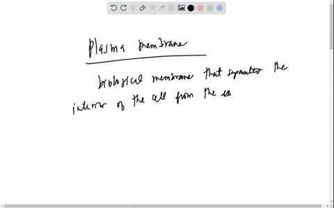 which-of-the-following-is-not-a-function-of-the-plasma-membrane-a-transports-materials-b-helps-str-4-96187