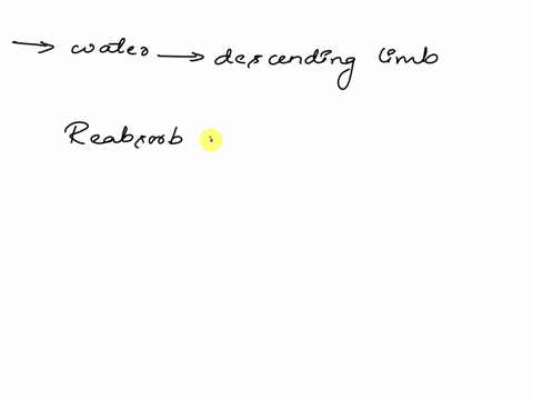 help-please-xthe-nephron-loop-creates-and-maintain-a-salty-medulla-because-water-leaves-the-descending-limb-which-makes-the-tubular-fluid-more-concentrated-which-then-stimulates-the-ascendin-34072