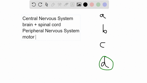 11-which-of-the-following-is-true-of-the-ceptral-nervous-system-lojlne-it-is-a-system-devoted-purely-to-motor-output-the-central-nervous-system-is-comprised-of-nerves-throughout-the-body-you-21244