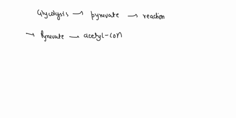 explain-how-glucose-is-metabolized-to-yeild-atp-50815