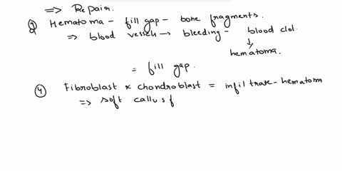 place-the-following-steps-of-bone-repair-in-the-correct-sequence-1-the-bone-callus-is-remodeled-and-primary-bone-is-replaced-with-secondary-bone-2-a-hematoma-fills-the-gap-between-bone-fragm-18752