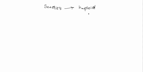 in-seedless-plants-haploid-gametophytes-are-produced-from-a-diploid-spores-that-undergo-mitosis-b-haploid-spores-that-undergo-meiosis-c-diploid-spores-that-undergo-meiosis-d-haploid-spores-t-10927